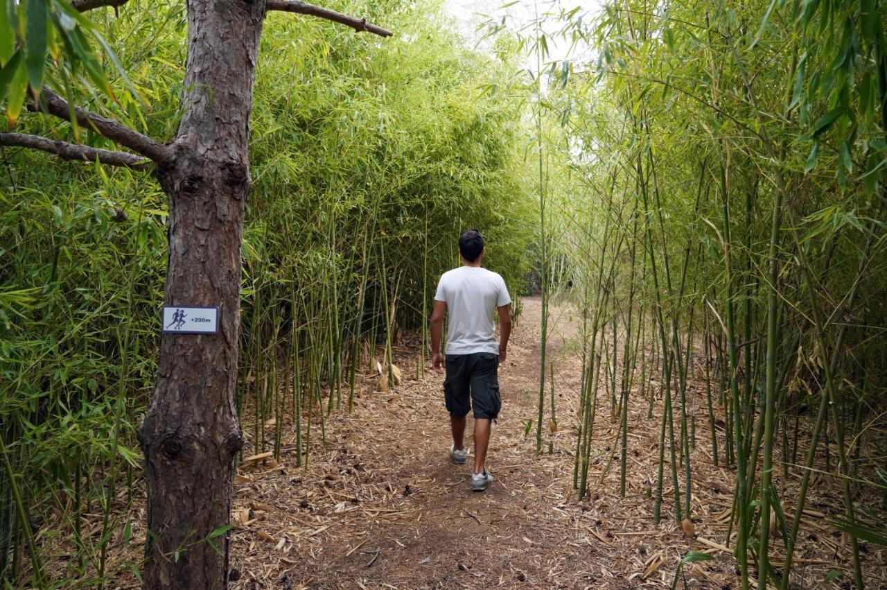 Hyatt Regency Thessaloniki Hotel Ngoại thất bức ảnh Bamboo forest in the park